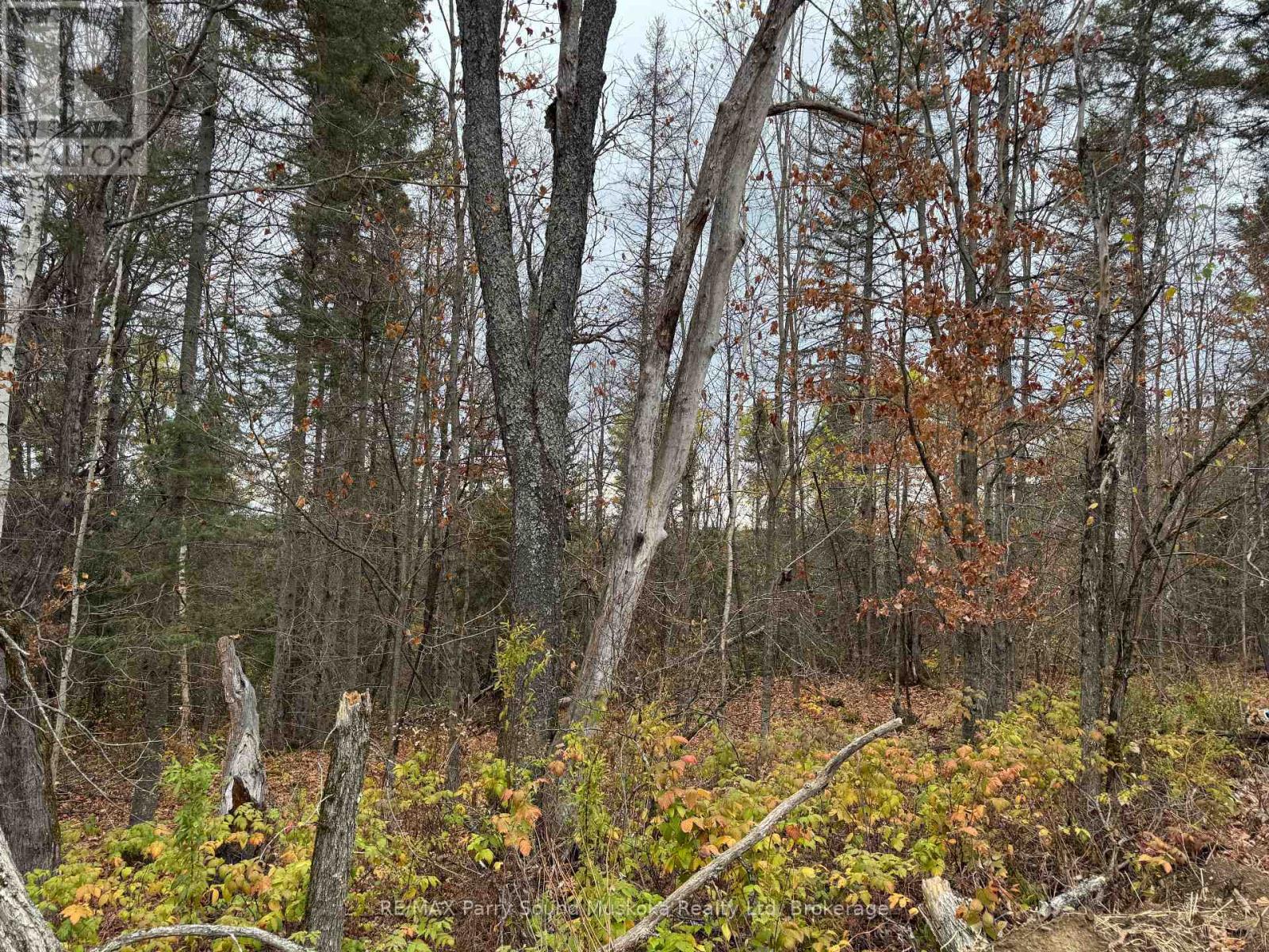 0-2 Bennett Road, Parry Sound Remote Area, Ontario  P0H 1J0 - Photo 3 - X12486227