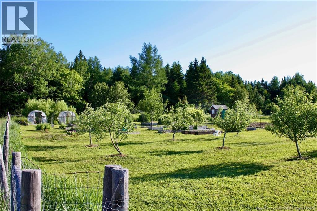 799 Back Greenfield Road, Summerfield, New Brunswick  E7K 2K8 - Photo 49 - NB129193