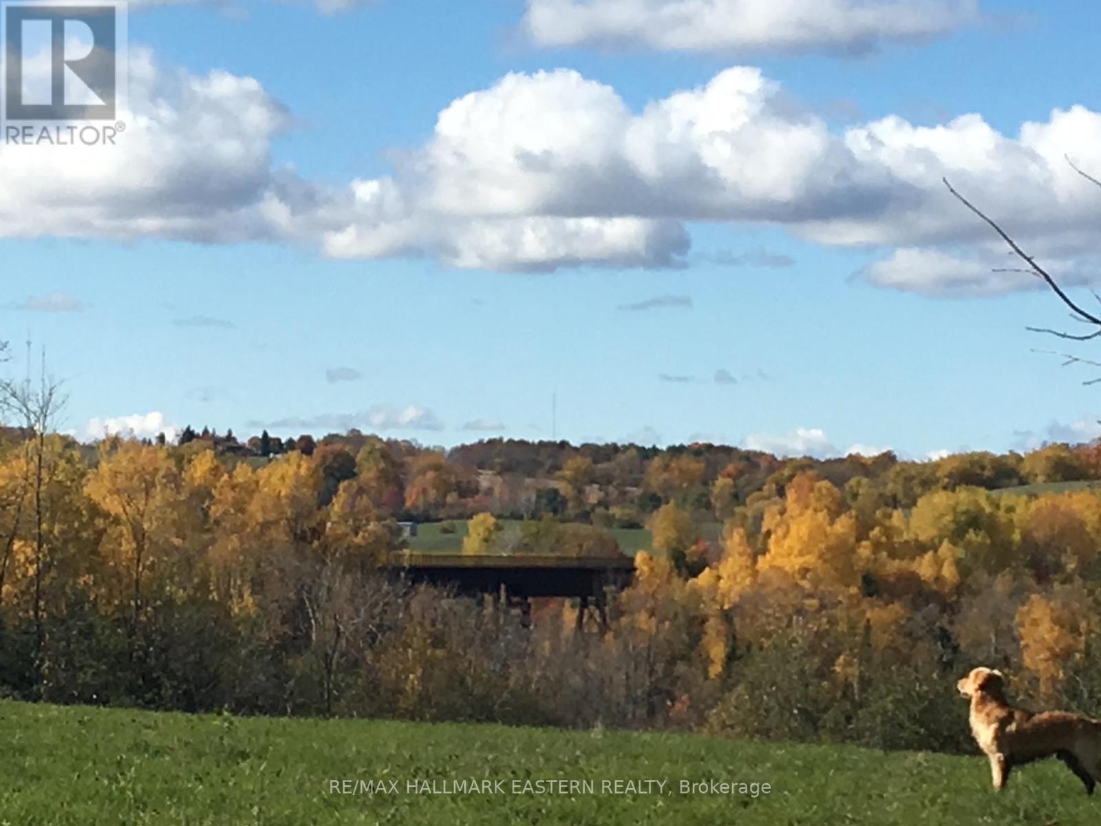 323 Orange Corners Road, Kawartha Lakes, Ontario  K0L 2W0 - Photo 12 - X12483598