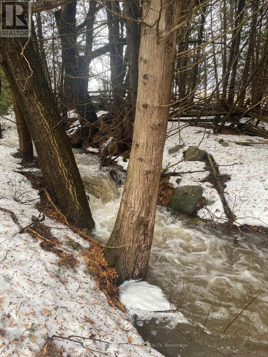 323 Orange Corners Road, Kawartha Lakes, Ontario  K0L 2W0 - Photo 13 - X12483598