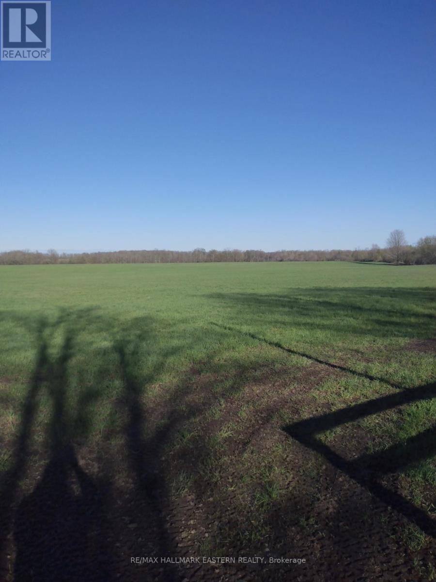 323 Orange Corners Road, Kawartha Lakes, Ontario  K0L 2W0 - Photo 4 - X12483598