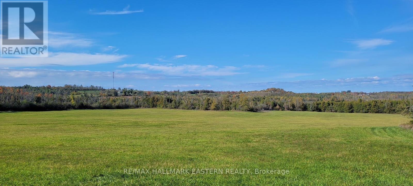 323 Orange Corners Road, Kawartha Lakes, Ontario  K0L 2W0 - Photo 8 - X12483598