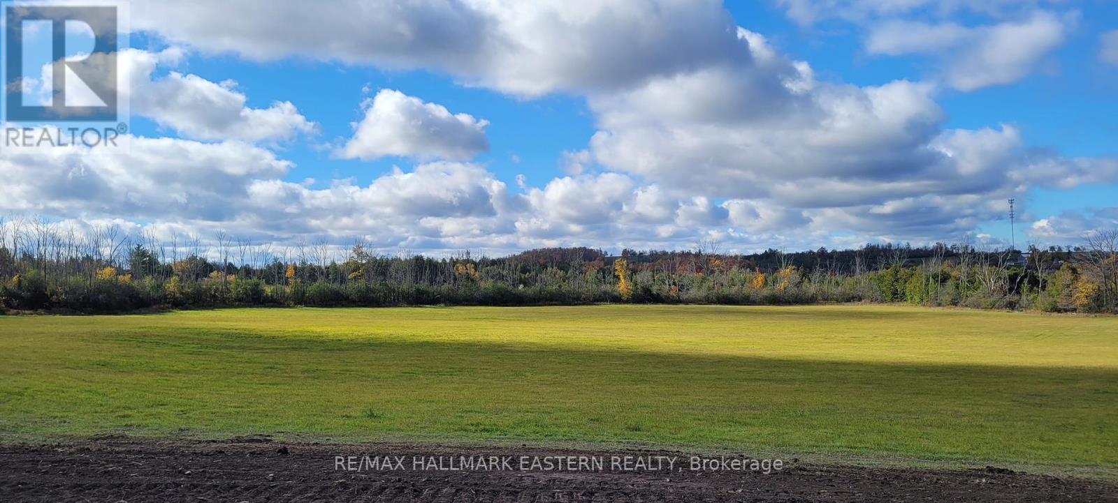 323 Orange Corners Road, Kawartha Lakes, Ontario  K0L 2W0 - Photo 9 - X12483598