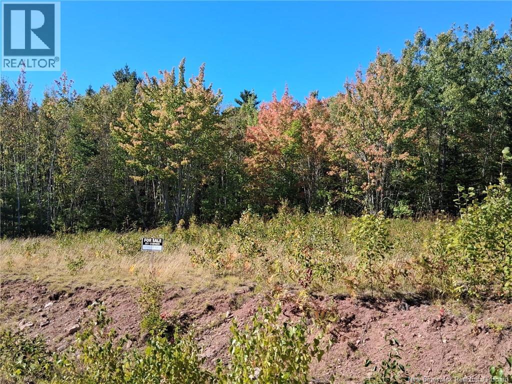 Lot 04-16 Sunset View Lane, Cumberland Bay, New Brunswick  E4A 0A2 - Photo 1 - NB129290