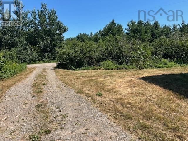 1586 Upper Southwest Mabou Road, Glencoe Station, Nova Scotia  B0E 2W0 - Photo 2 - 202519407
