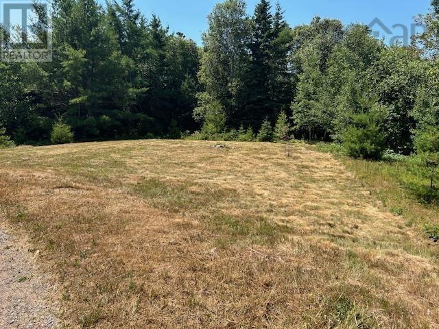 1586 Upper Southwest Mabou Road, Glencoe Station, Nova Scotia  B0E 2W0 - Photo 20 - 202519407