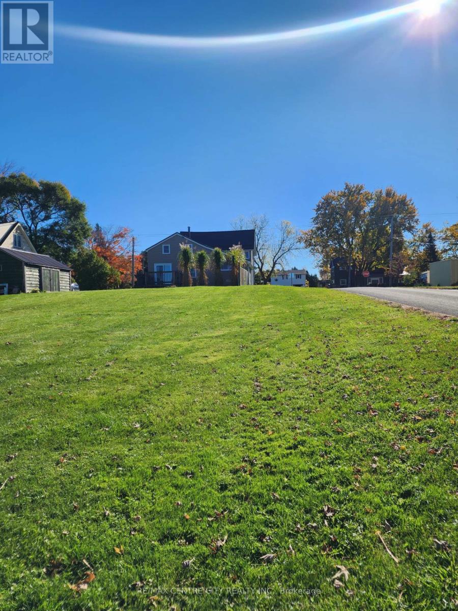 33168 Back Street, Dutton/dunwich, Ontario  N0L 1P0 - Photo 16 - X12486339