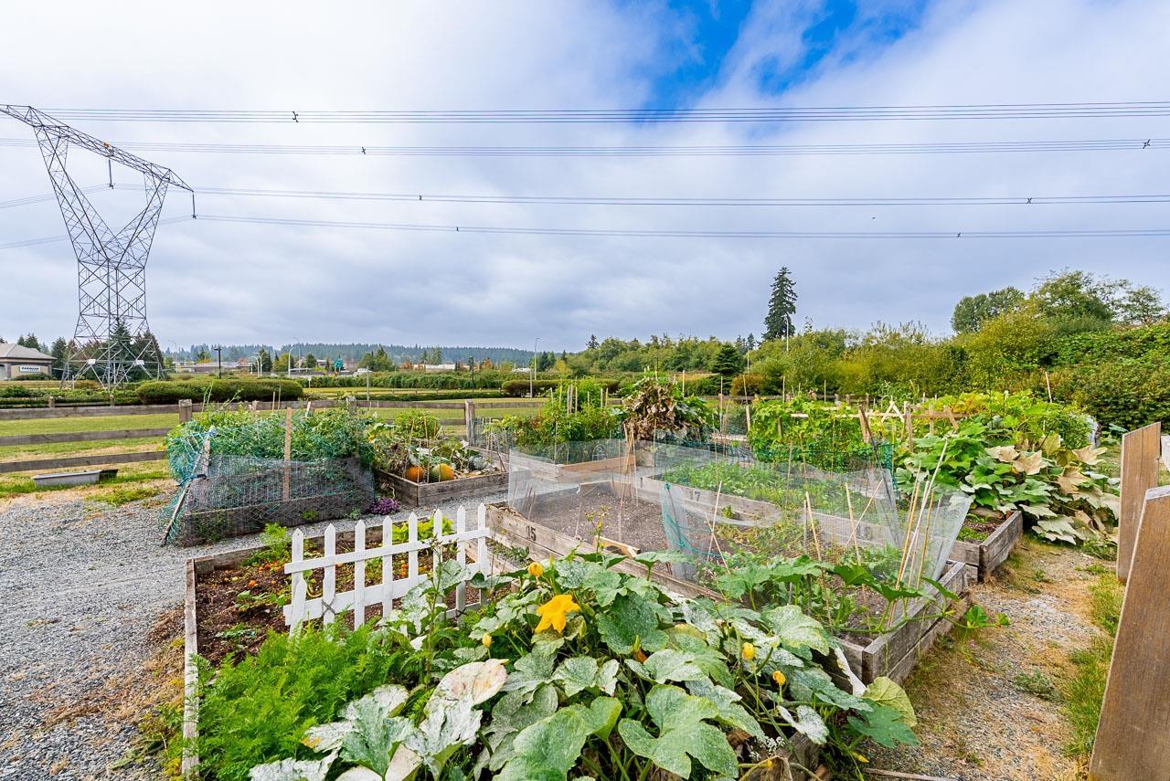 #421 3323 151 Street, Surrey, British Columbia  V3Z 0L3 - Photo 35 - R3062610