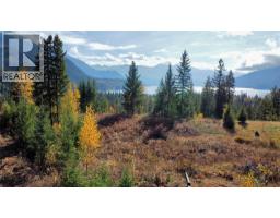 235 Fullmoon Road, rosebery, British Columbia