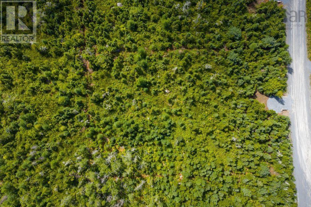 Lot 5 Birchwood, Ostrea Lake, Nova Scotia  B0J 2L0 - Photo 7 - 202521433