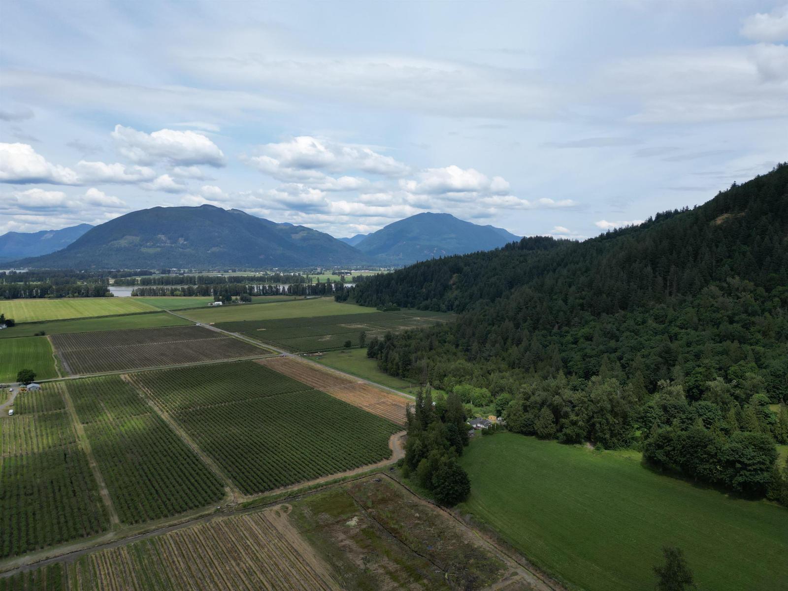 35925 Fore Road, Abbotsford, British Columbia  V3G 1P7 - Photo 10 - R3061333