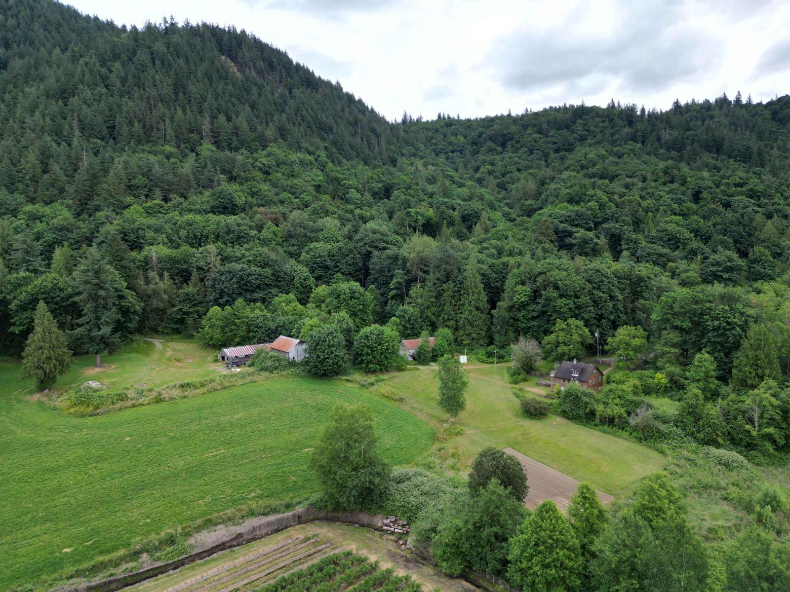 35925 Fore Road, Abbotsford, British Columbia  V3G 1P7 - Photo 23 - R3061333