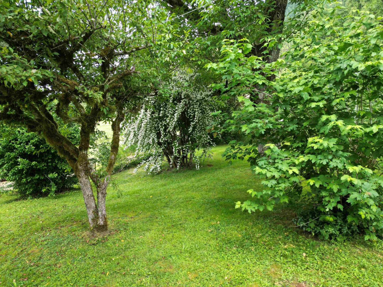 35925 Fore Road, Abbotsford, British Columbia  V3G 1P7 - Photo 31 - R3061333