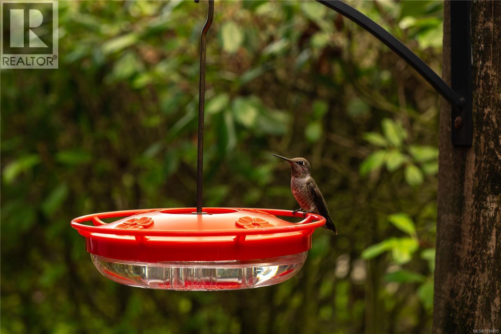 104 2111 Meredith Rd, Nanaimo, British Columbia  V9S 2N2 - Photo 37 - 1018405