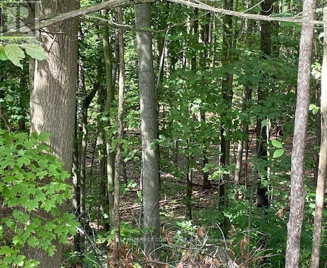 26 Kenwell Crescent, Barrie (Holly), Ontario  L4N 0A4 - Photo 42 - S12486307