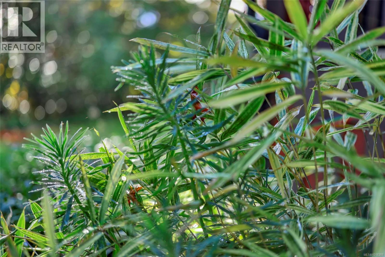 4690 Compton Rd E, Port Alberni, British Columbia  V9Y 7M5 - Photo 53 - 1018388