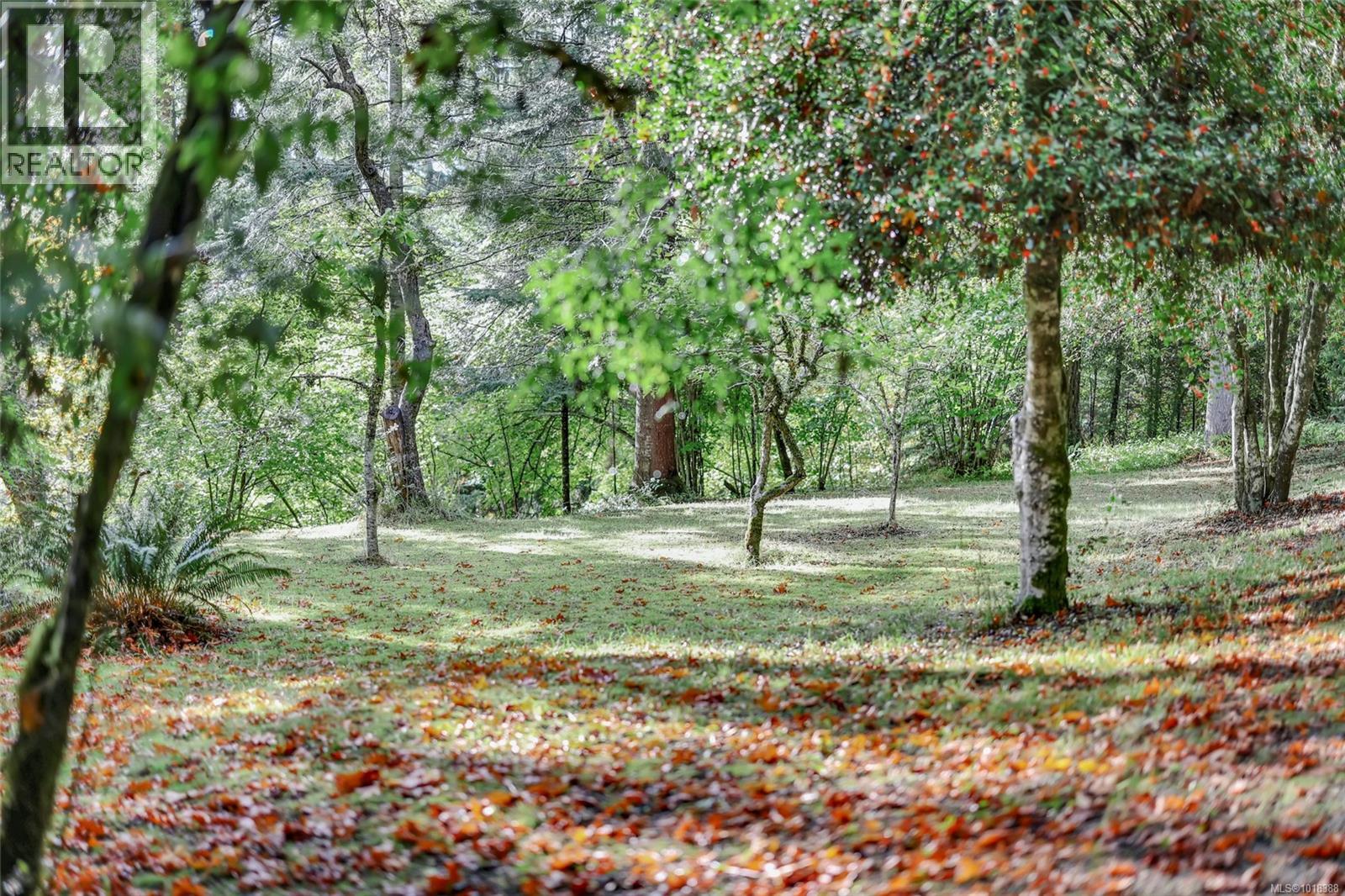 4690 Compton Rd E, Port Alberni, British Columbia  V9Y 7M5 - Photo 55 - 1018388