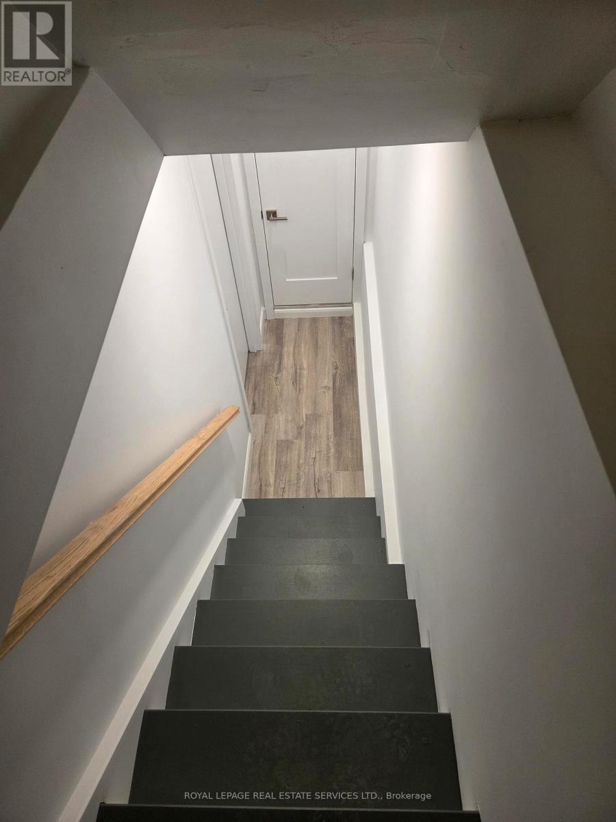 Lower - 126 Lawrence Avenue W, Toronto, Ontario  M5M 1A6 - Photo 3 - C12486497