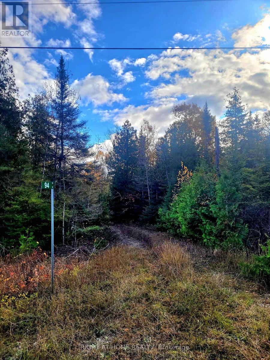 94 Dr. Mclay Drive, Assiginack, Ontario  P0P 1Z0 - Photo 20 - X12486500