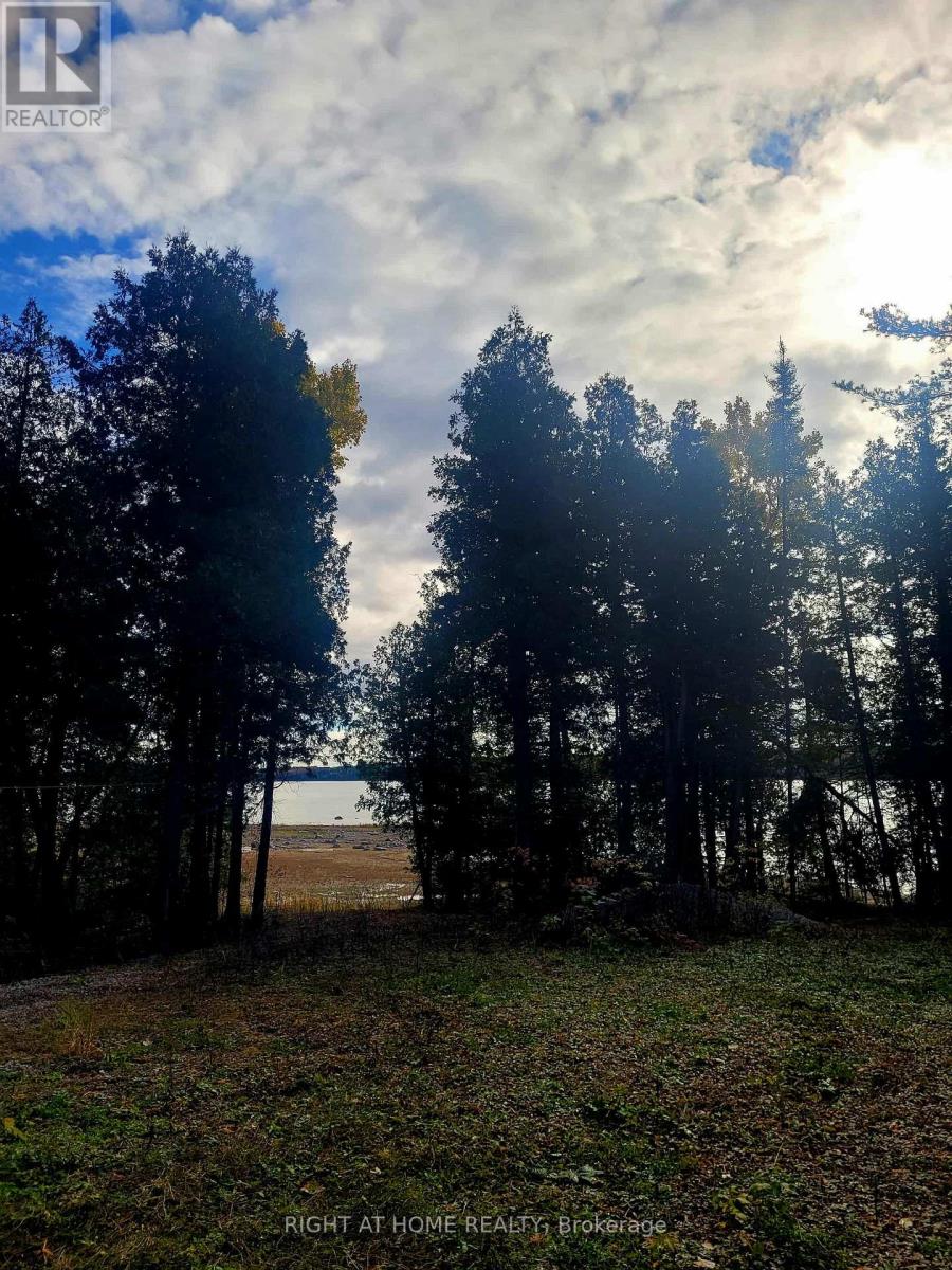 94 Dr. Mclay Drive, Assiginack, Ontario  P0P 1Z0 - Photo 22 - X12486500