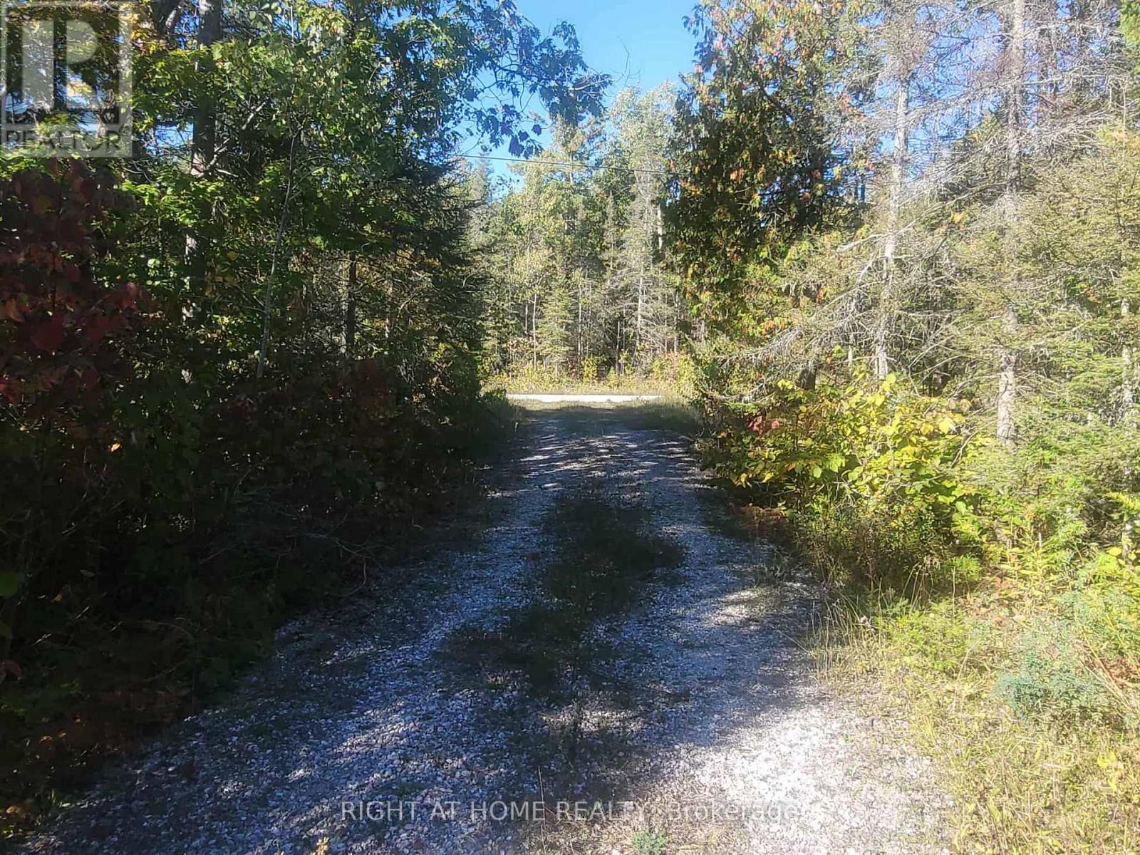 94 Dr. Mclay Drive, Assiginack, Ontario  P0P 1Z0 - Photo 25 - X12486500