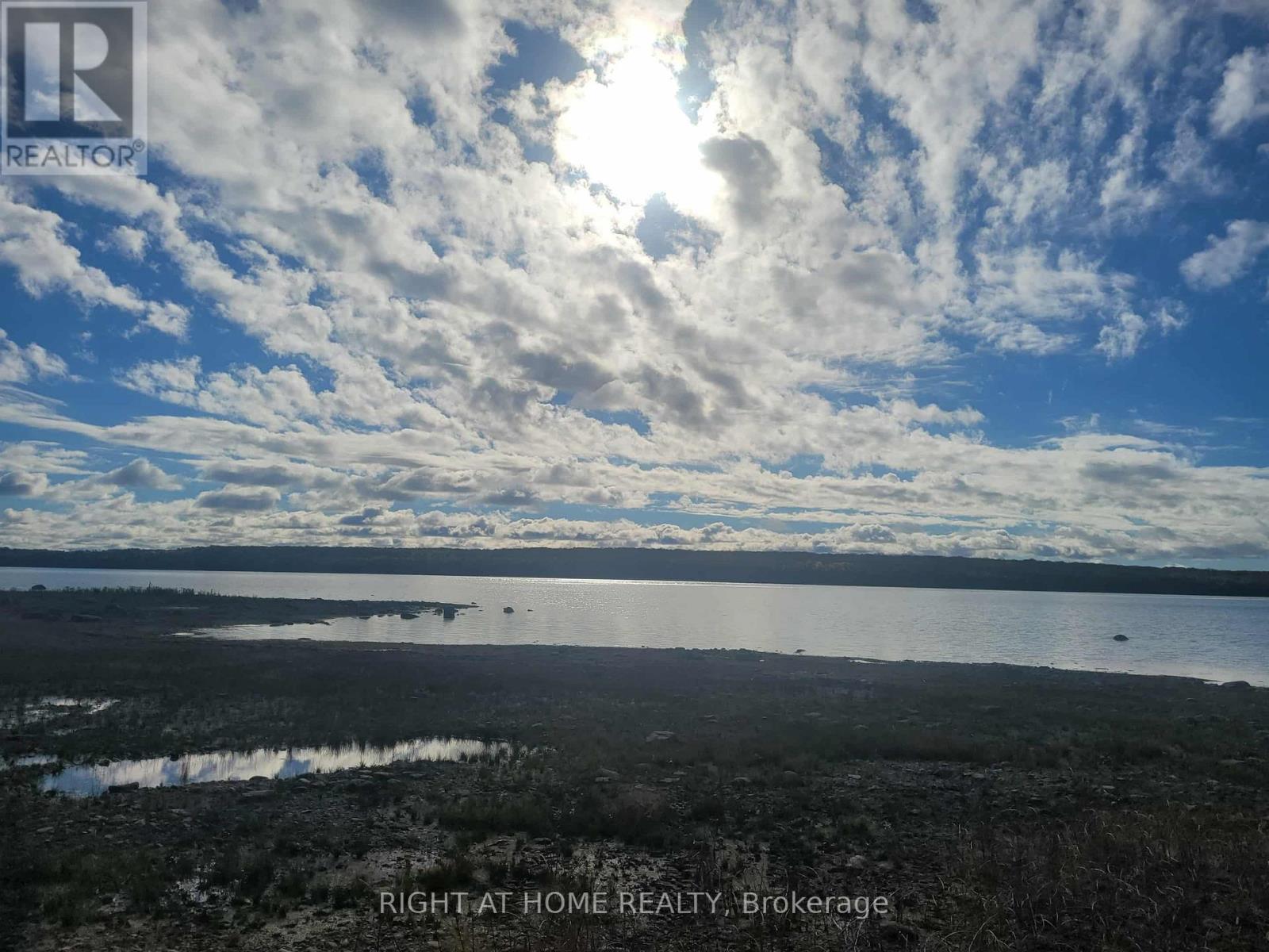 94 Dr. Mclay Drive, Assiginack, Ontario  P0P 1Z0 - Photo 30 - X12486500