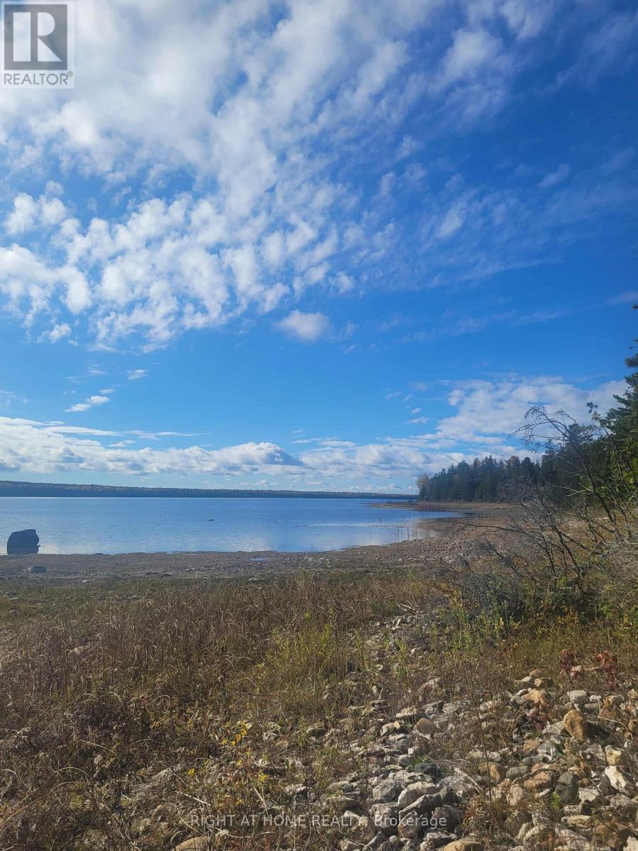 94 Dr. Mclay Drive, Assiginack, Ontario  P0P 1Z0 - Photo 4 - X12486500