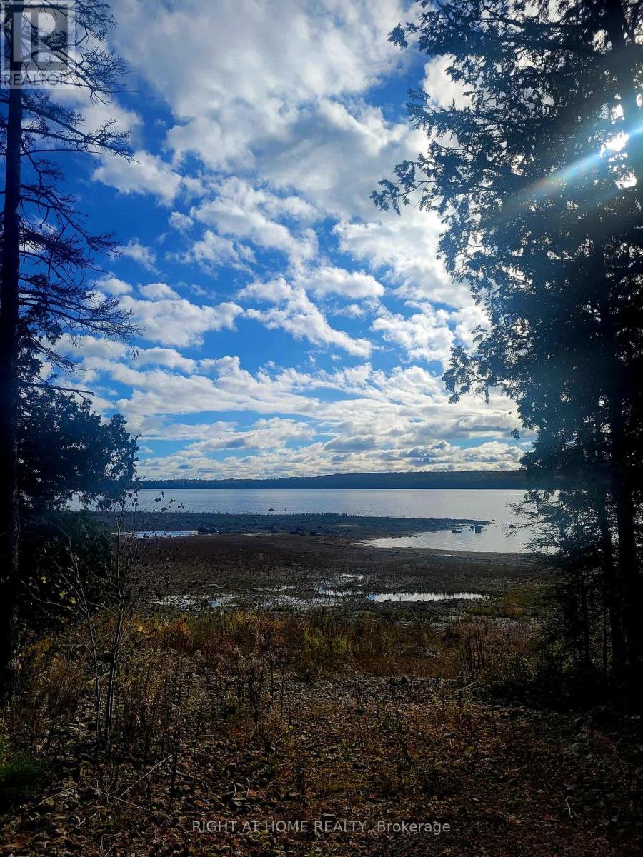 94 Dr. Mclay Drive, Assiginack, Ontario  P0P 1Z0 - Photo 5 - X12486500