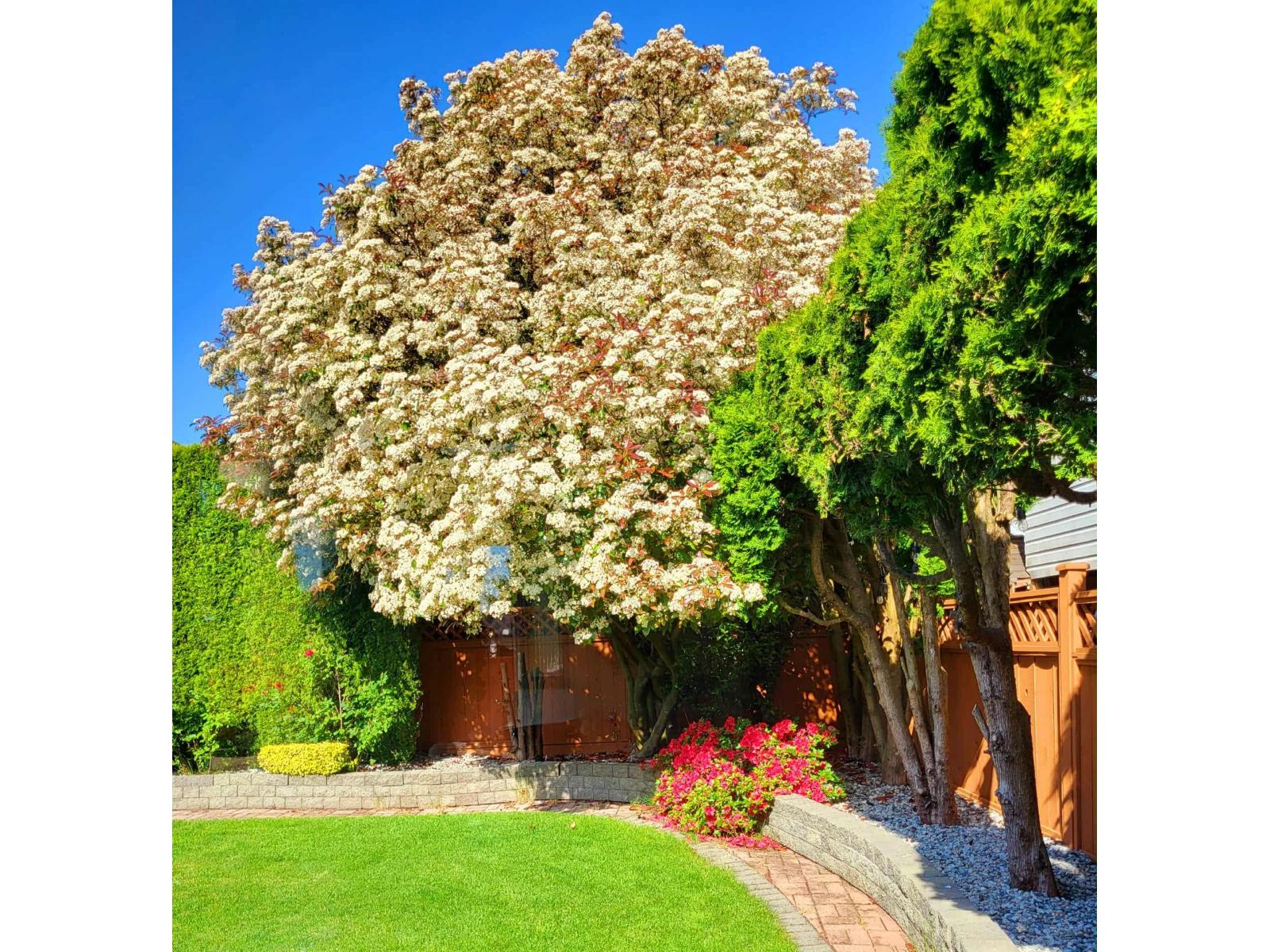 6041 186 Street, Surrey, British Columbia  V3S 7P4 - Photo 27 - R3062142