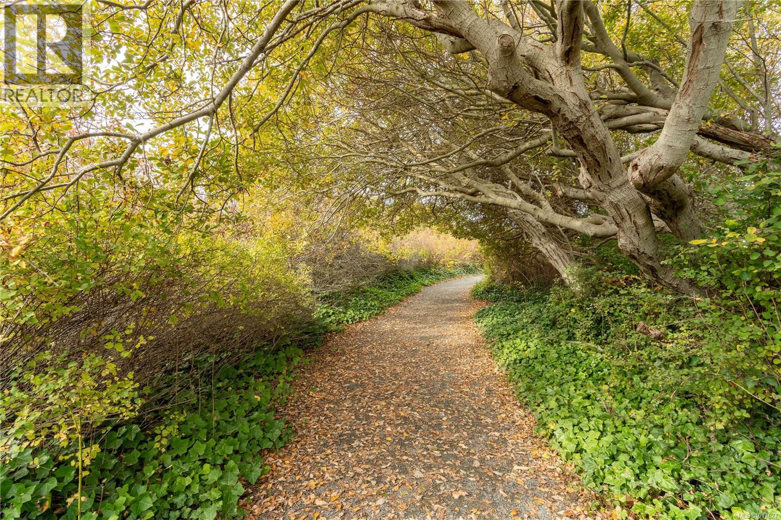 4490 Shore Way, Saanich, British Columbia  V8N 3V2 - Photo 61 - 1017627