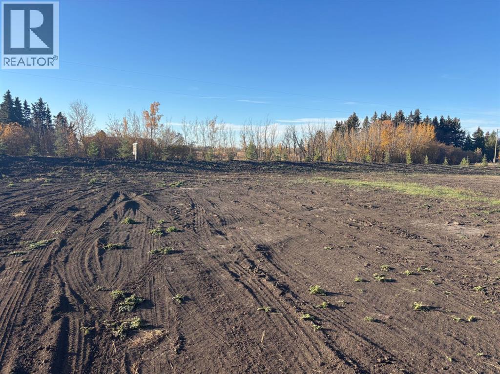 On Township Road 470, Rural Camrose County, Alberta  T0C 0L0 - Photo 4 - A2262502