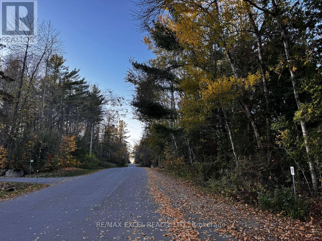 19 Lakeview Cottage Road, Kawartha Lakes, Ontario  K0M 2B0 - Photo 9 - X12486517