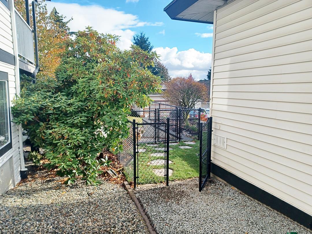 6238 191a Street, Surrey, British Columbia V3S 8C6 - Photo 29 - R3059004