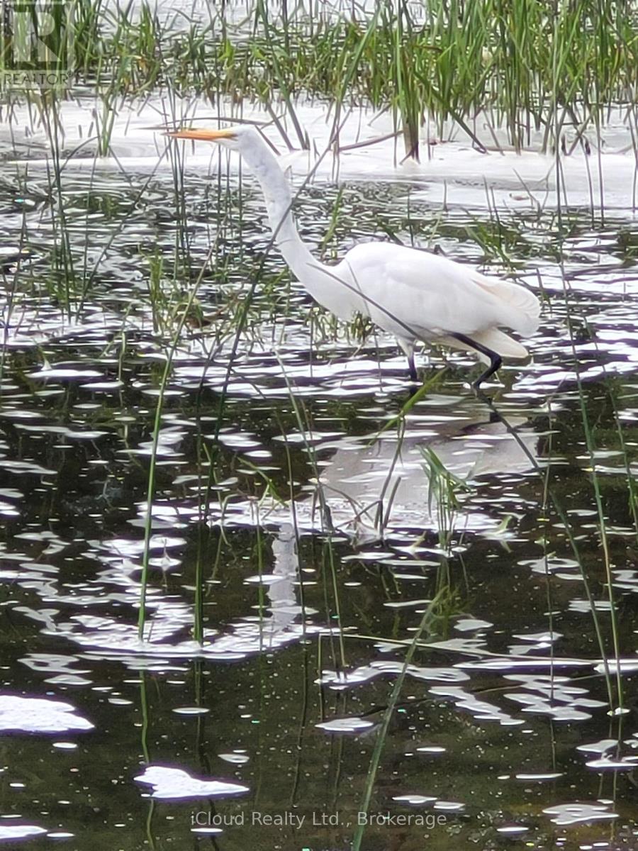 813 - 2121 Lake Shore Boulevard W, Toronto, Ontario  M8V 4E9 - Photo 13 - W12486493