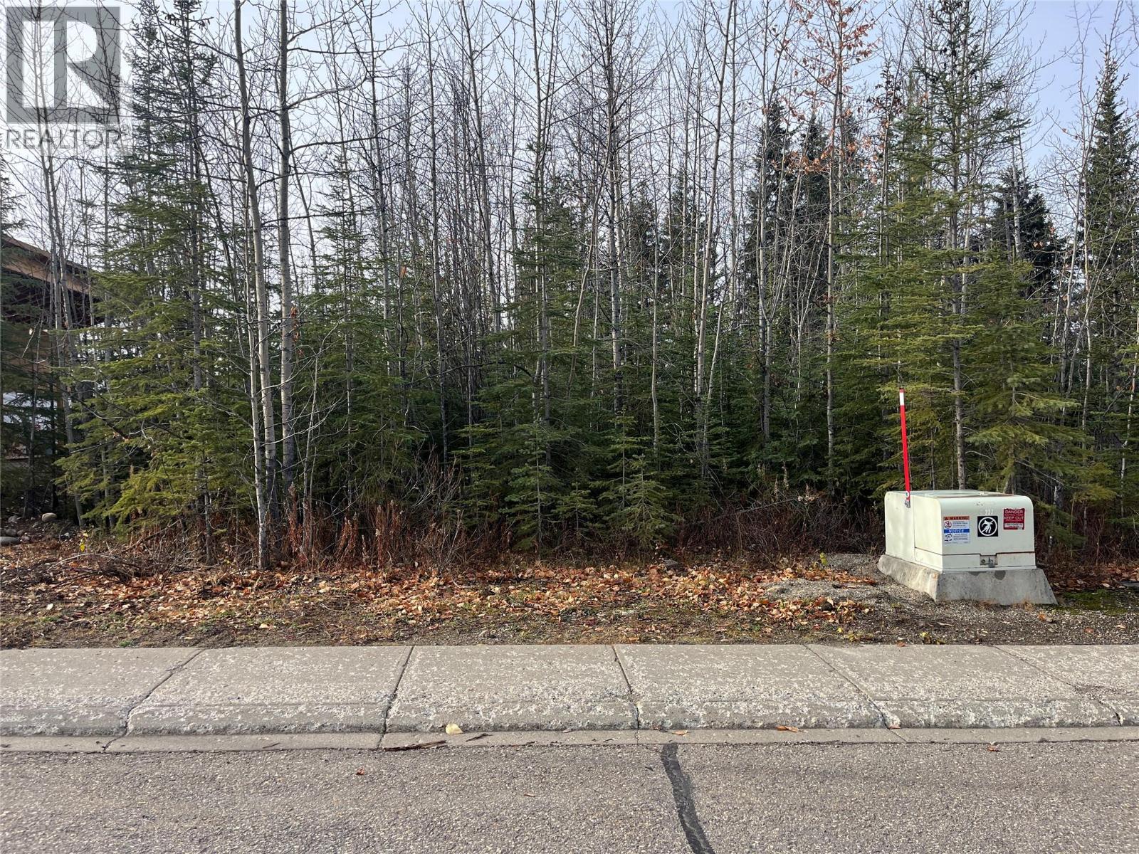 183 Wapiti Crescent, tumbler ridge, British Columbia