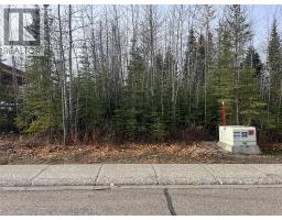 183 Wapiti Crescent, tumbler ridge, British Columbia