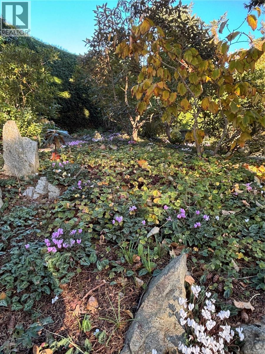 2850 Sea View Rd, Saanich, British Columbia  V8N 1K8 - Photo 64 - 1018248