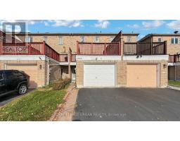 LOWER LEVEL - 4651C KINGSTON ROAD, Toronto, Ontario