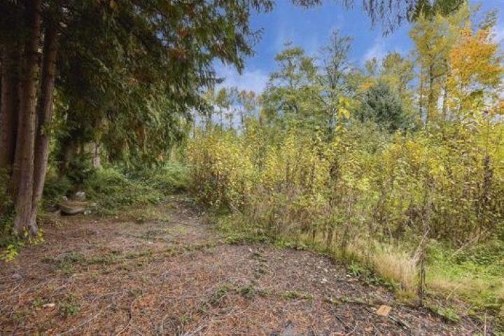 14409 115 Avenue, Surrey, British Columbia  V3R 5Y2 - Photo 3 - C8073134