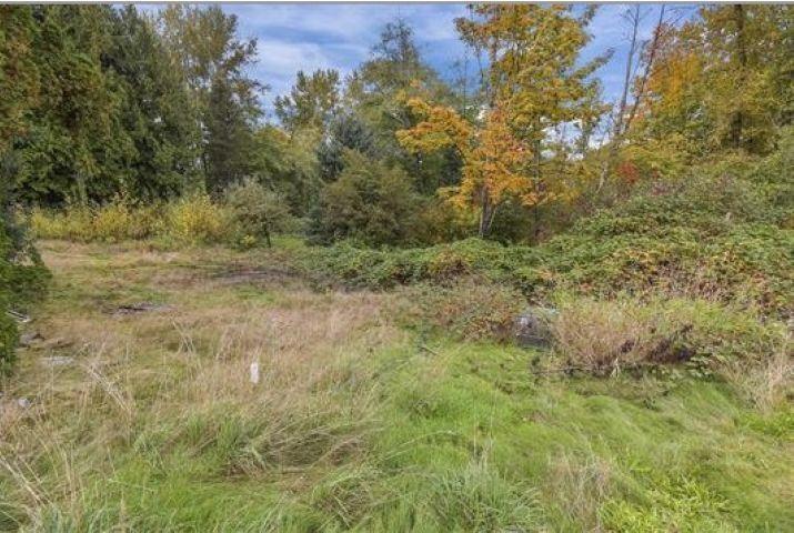 14409 115 Avenue, Surrey, British Columbia  V3R 5Y2 - Photo 7 - C8073134