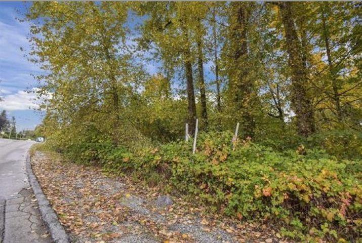 14409 115 Avenue, Surrey, British Columbia  V3R 5Y2 - Photo 8 - C8073134