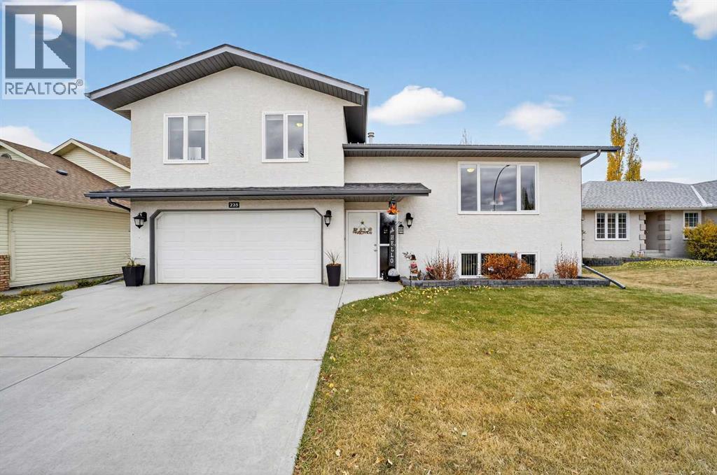 225 10 Avenue Ne, Sundre, Alberta  T0M 1X0 - Photo 1 - A2267294