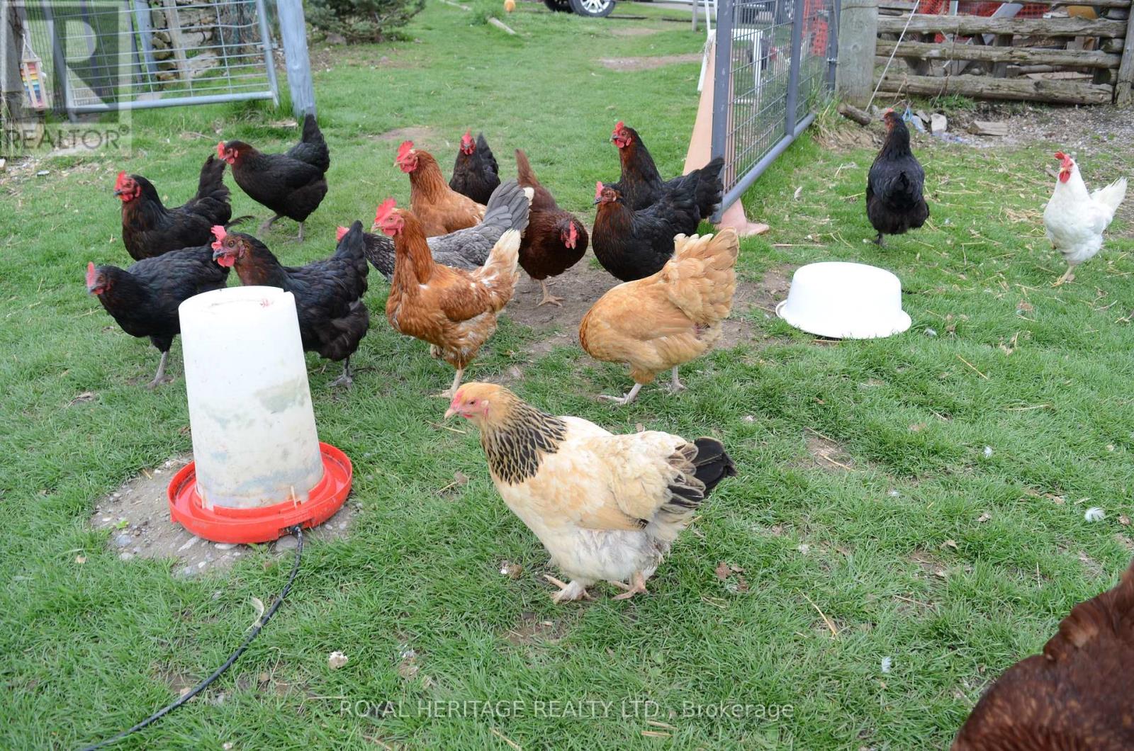 540 Kirkfield Road, Kawartha Lakes, Ontario  K0M 2T0 - Photo 25 - X12124758