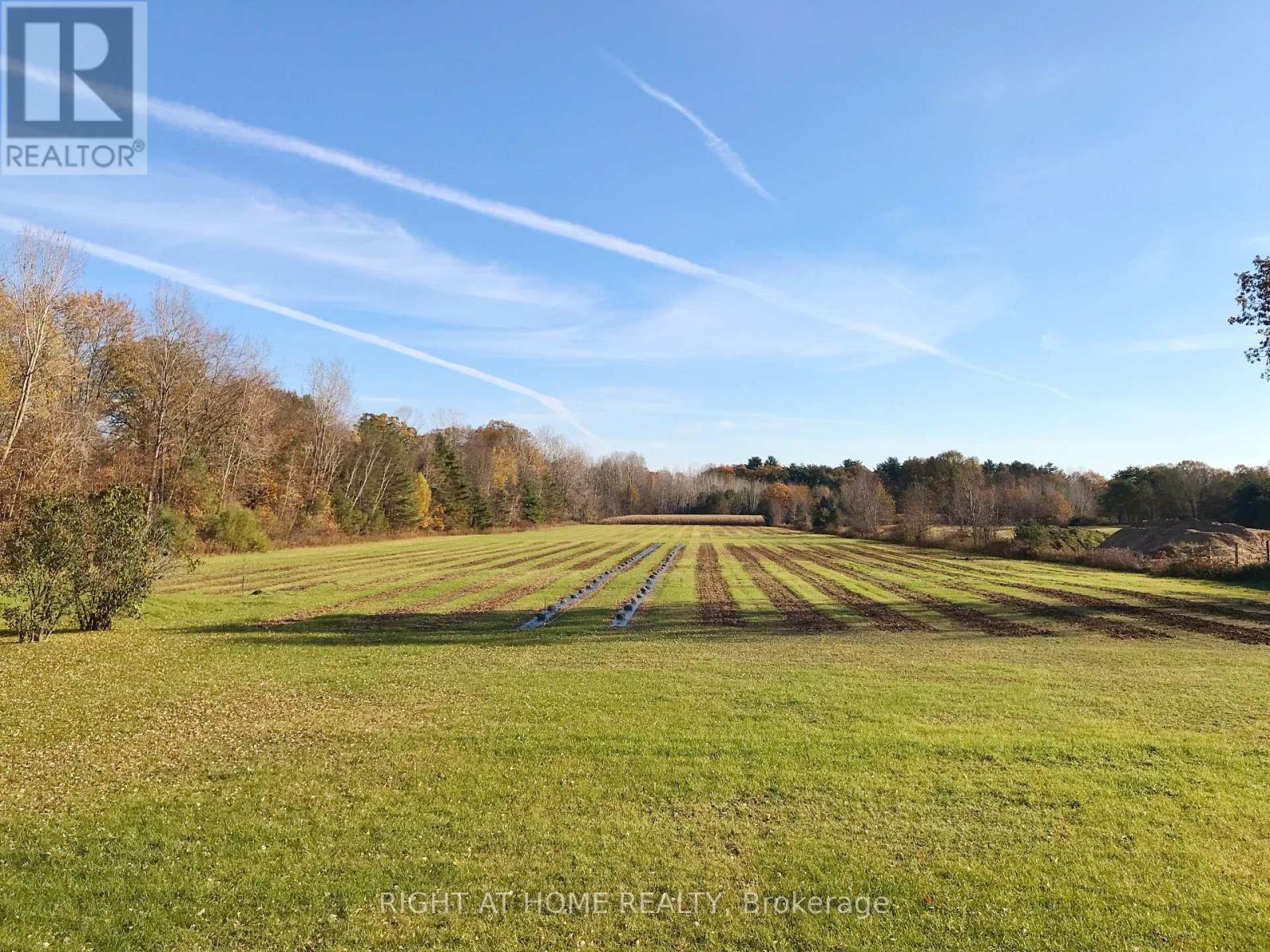 1938 Turkey Point Road, Norfolk, Ontario  N3Y 4J9 - Photo 42 - X12469263