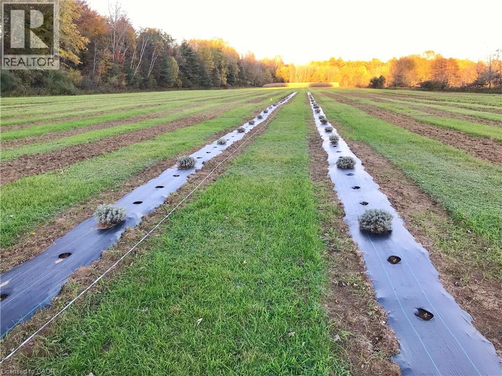 1938 Turkey Point Road, Simcoe, Ontario  N3Y 4J9 - Photo 10 - 40780016