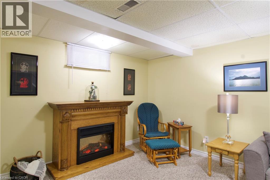 42 Greentrail Drive, Hamilton, Ontario  L0R 1W0 - Photo 26 - 40779566