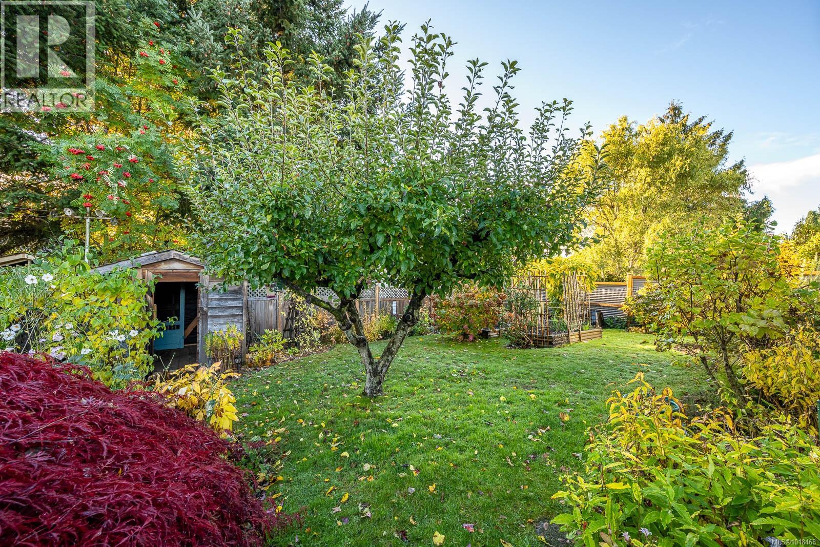 2361 6th St E, Courtenay, British Columbia  V9N 7T8 - Photo 2 - 1018468