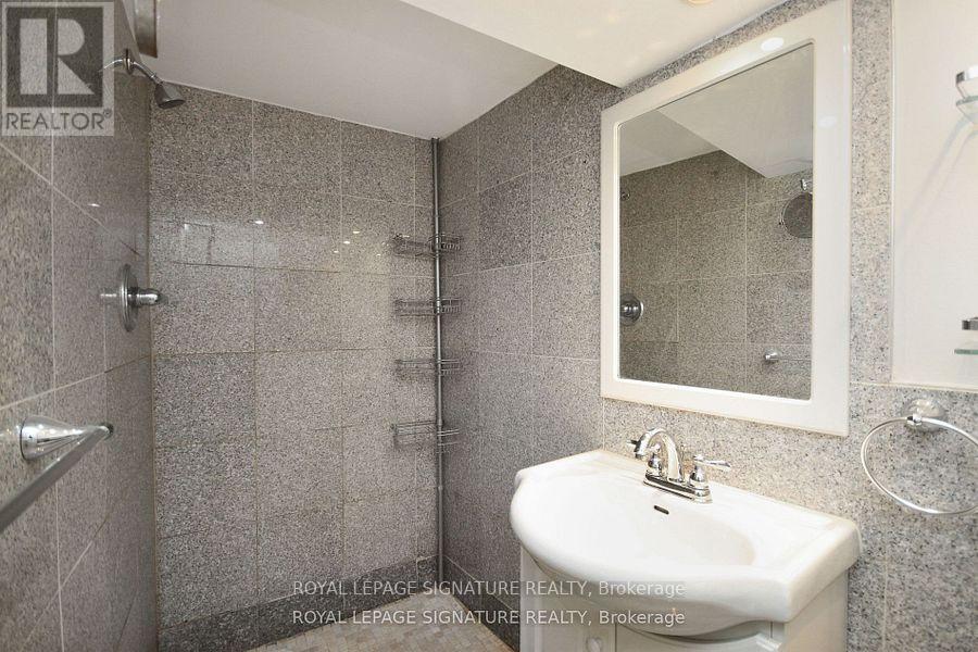 Basement - 173 Cottonwood Drive, Toronto, Ontario  M3C 2B3 - Photo 12 - C12486818