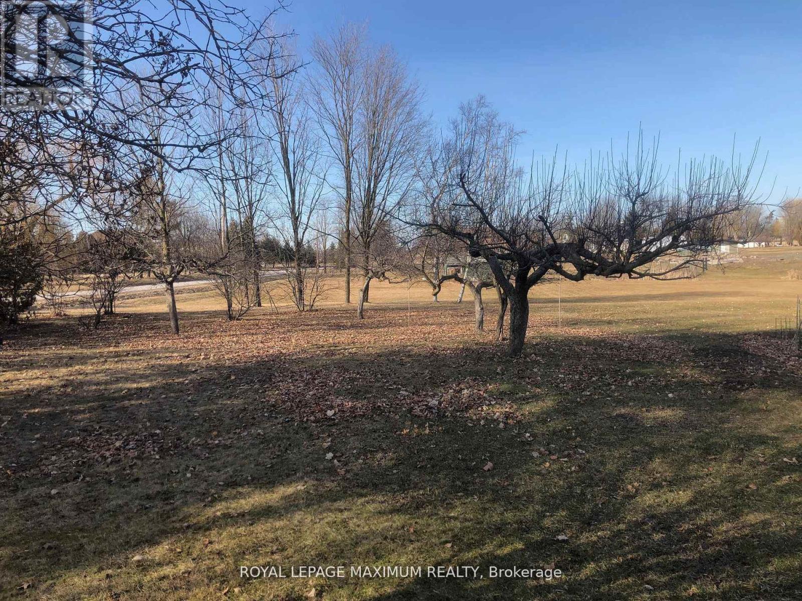 22 Diana Drive, King (Nobleton), Ontario  L0G 1N0 - Photo 6 - N12486811