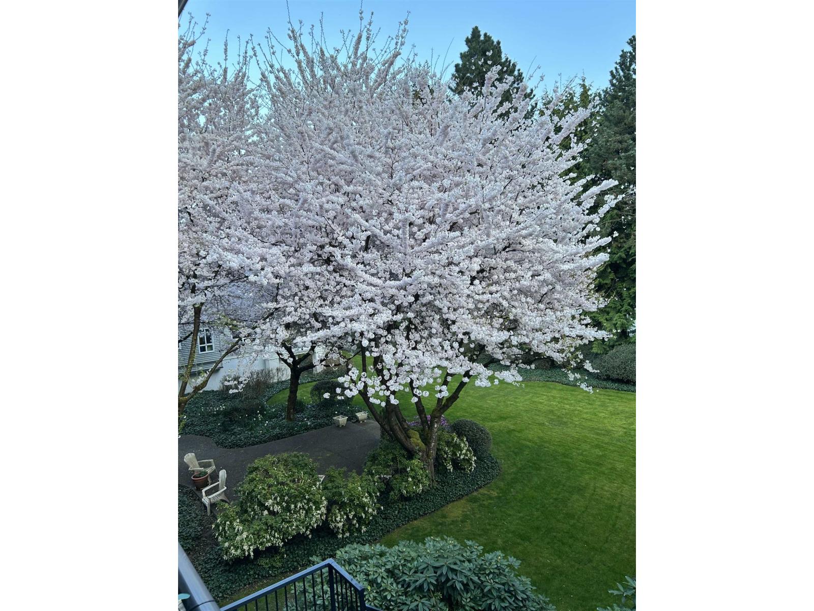 210 20976 56 Avenue, Langley, British Columbia V3A 7Z2 - Photo 33 - R3049889